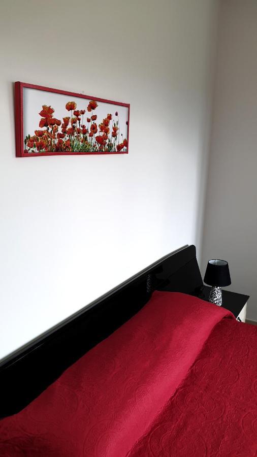 Apartament Carla'S House - Relax A Scalea Tra Mare E Monti Zewnętrze zdjęcie